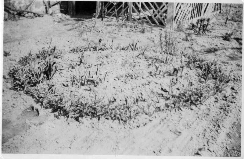 B-05-3-1.jpg