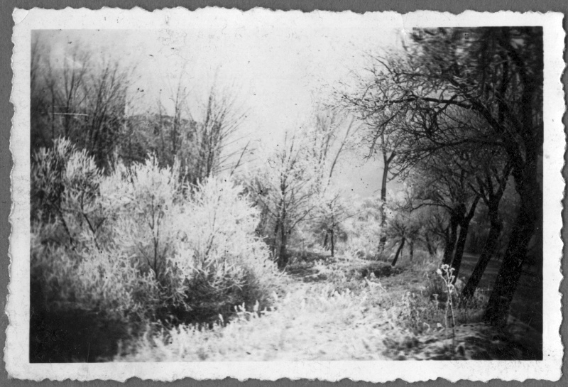B03-2-7.jpg