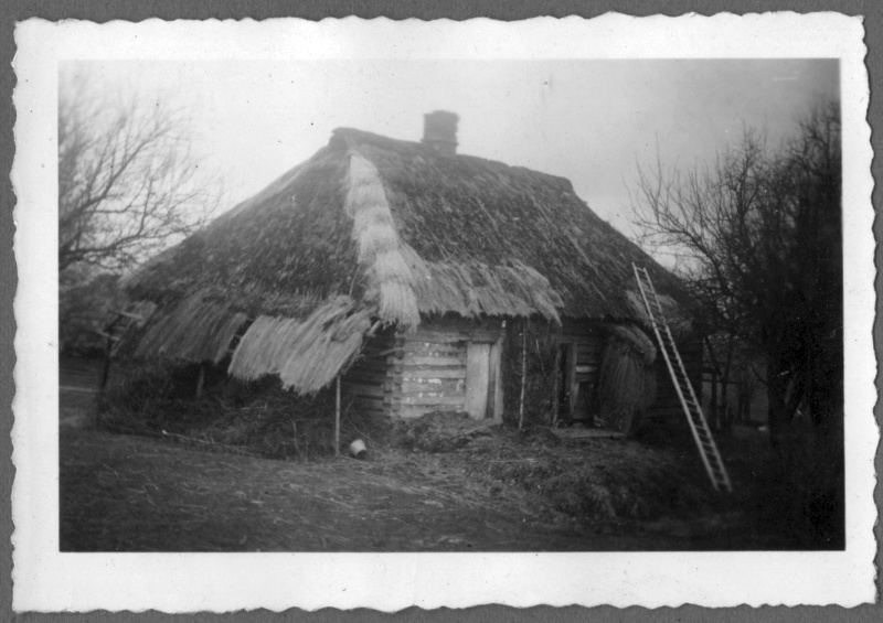 B06-4-4.jpg